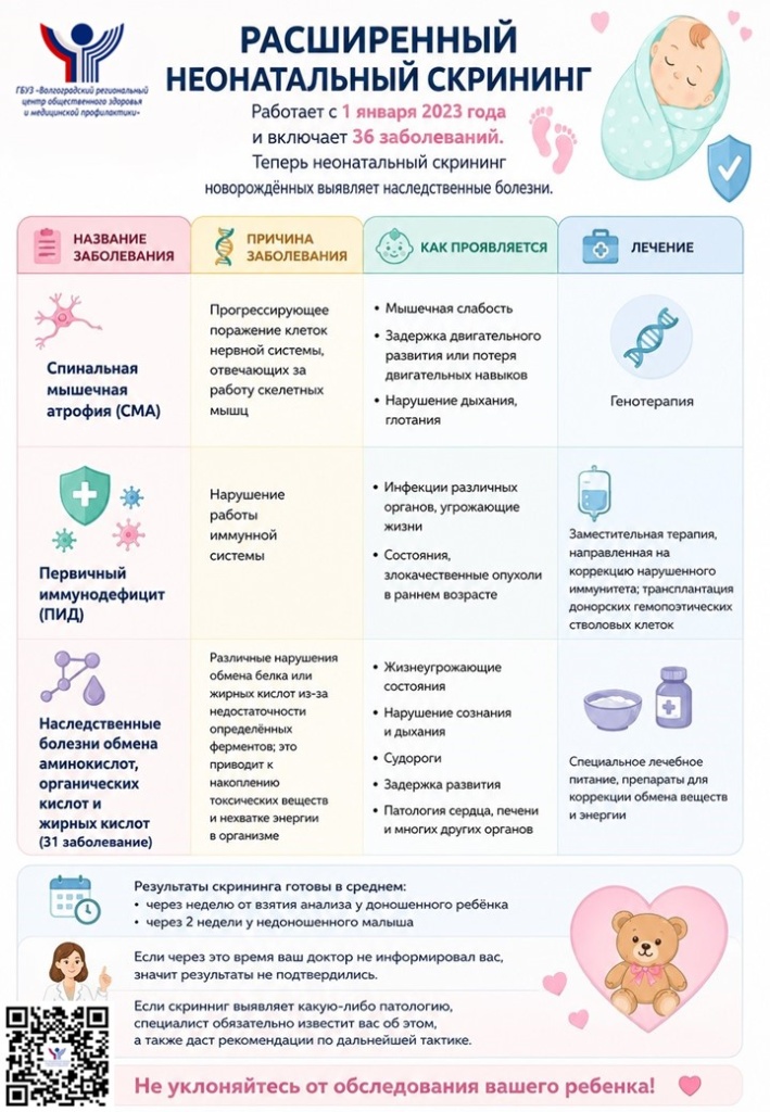 нсн222.jpg